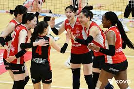 페퍼저축은행 배구단 아이콘