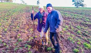The authors, while pointing out that it's. How To Grow Apple Trees The Organic Way Grow Great Fruit