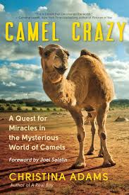 If you want to know how to say camel in hindi, you will find the translation here. Wallpaper Poem Gallery Camel Poem In Hindi
