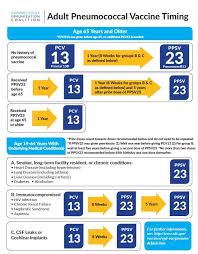 Adult Pneumococcal Vaccine Timing Csms