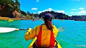 Just like any other country, there are a bunch of touristy must do's on the north island of new zealand. 15 Things To Do On New Zealand S North Island