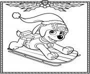 They carry out missions to protect the community on the shores of adventure bay. Paw Patrol Coloring Pages To Print Paw Patrol Printable