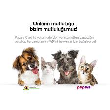 Papara Card Ile Bagis Yapmak Cok Kolay Fatih Belediyesi Yedikule Hayvan Barinagi