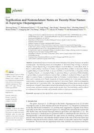 Image result for Asparagus longicladus