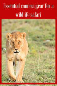 The Right Camera Gear For A Wildlife Safari Can Get Expensive But You Don T Need To Go Overboard Wildlife Safari Traveling By Yourself Travel Photography Tips