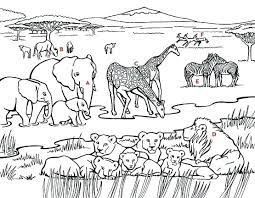 I also appreciate the developer support on their apps. Printable African Safari Coloring Pages Novocom Top
