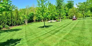We are a family owned and operated business. Lawn Care Seffner Today S Lawn Care