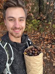 What is spot maintenance in foraging hickory?
