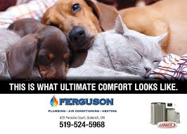 Ferguson plumbing is a company based out of po box 7372, rochester, mn, united states. Ferguson Plumbing And Heating Posts Facebook