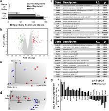 Is the world leader in serving science, with annual revenue exceeding $25 billion. Whole Transcriptome Analysis Of Adrenal Glands From Prenatal Glucocorticoid Programmed Hypertensive Rodents Scientific Reports