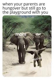 Memes are interesting or amusing pictures, videos, or an internet meme is a unique form of media that's spread quickly online, typically vi. High Level Parenting R Wholesomememes Wholesome Memes Know Your Meme