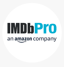 A third party person or company should never use the internet movie database logo without the written. Imdb Logo Png Transparent Png Kindpng