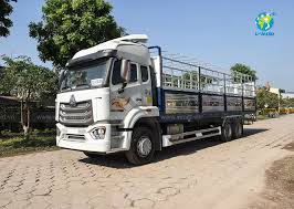 Khám phá các loại xe tải chở hàng trong ngành vận tải hiện nay