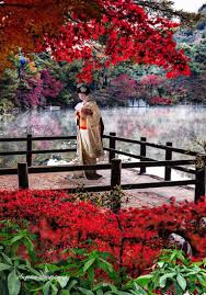 Hiyogo Perfecture Japon Me Enamora Japon Geisha Hiyogo Pajaritos Paisaje Japon Japon Cultura Japon
