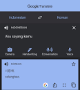 Hasil gambar untuk google translate