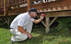 Expert recommended top 3 pest control in maple ridge, bc. Residential Pest Control Services For Philadelphia Metro Homes