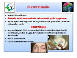 Sinir Sistemi Ilaclari Otonom Sinir Sistemi Ilaclari Ppt Indir