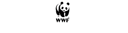 The panda was originally added for the 2020 lunar new year update. áˆ Panda Logo 20 Examples Of Emblems Design Tips Logaster