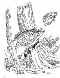 Basics Of Fishing Bass Lovebassfishing Fish Coloring Page Wood Burning Art Art