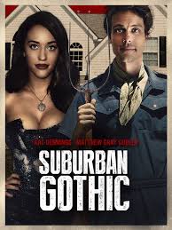 Matthew gray gubler and kat dennings were in suburban gothic (2014) together. Prime Video Suburban Gothic