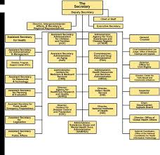 Appendix E Hhs Organizational Chart Aspe