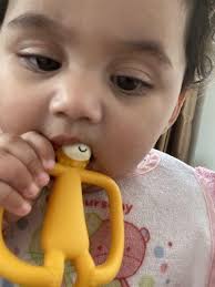 Teddy Tiger Animal Teether