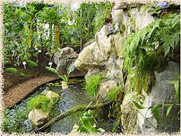 Botanischer Garten Rostock Ostsee De