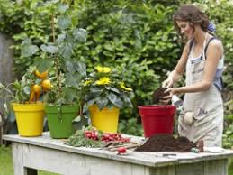 Maybe you would like to learn more about one of these? Assortiment Tuincentrum Daniels