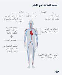 وجاءت اعراض فيروس كورونا الكاملة، وفقا لتصريحات وزيرة الصحة والسكان علي النحو التالي وطالبت الوزيرة من المواطنين سرعة التسجيل للحصول على لقاح فيروس كورونا والدخول علي الموقع، وفي حال التعثر هناك خطوطا ساخنة للوزارة يمكن الاستعانة بها. Ø¯Ø±Ø§Ø³Ø© Ø¬Ø¯ÙŠØ¯Ø© Ù‡Ø°Ø§ Ù…Ø§ Ù†Ø¹Ø±ÙÙ‡ Ø¹Ù† Ù…Ù†Ø§Ø¹Ø© ÙÙŠØ±ÙˆØ³ ÙƒÙˆØ±ÙˆÙ†Ø§ ØµØ­Ø© Ù…Ø¹Ù„ÙˆÙ…Ø§Øª Ù„Ø§ Ø¨Ø¯ Ù…Ù†Ù‡Ø§ Ù„ØµØ­Ø© Ø£ÙØ¶Ù„ Dw 14 10 2020