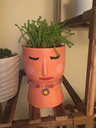 It's here!!!! I bought this aloe at walmart for $4 2 weeks ago and  immediately thoughtof Goku's wild hair. I found this absolutely delightful  young lady