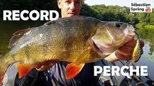 We did not find results for: J Explose Mon Record Perche Avec Mon Crank Fetiche Youtube