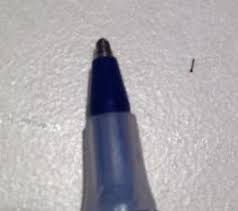 Psocids mites book lice barklice how to. Extremely Small White Larvae With Black Heads All About Worms