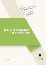 Plan de sauvegarde de l'emploi. Calameo Dossier Le Plan De Sauvegarde De L Emploi Extraits