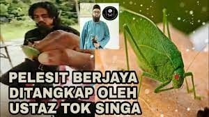 Mama yang melihatku masuk, segera menghentikan kegiatan membacanya, ditaruhnya bukunya ke matanya tetap mengawasi yang terjadi dalam kamar, nampaknya tidak ada tanda² adiknya akan keluar. Pelesit Berjaya Ditangkap Oleh Ustaz Tok Singa Di Gopeng Perak Youtube