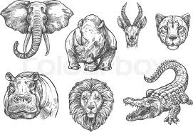 Watch video of wild animal footage on an encyclopedic level, from the plight of endangered species to the hope of adorable baby animals. Wild African Animals Sketch Icons Stock Vector Colourbox