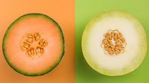 The Real Difference Between Cantaloupe And Honeydew Melon