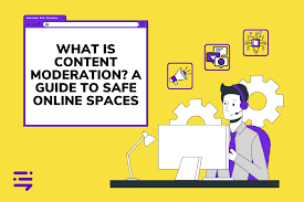 Image result for internet moderator