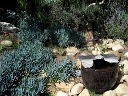 We had left a review via google, but didn't leave one here. 12 Ideas For Low Maintenance Landscaping In Salt Lake City Lawnstarter