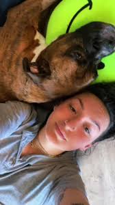 Bentley The Boxer Porcupine