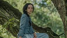 Milena asmanová was born on october 11, 1930 in brno, czechoslovakia. J5cn Rcrsf6dpm