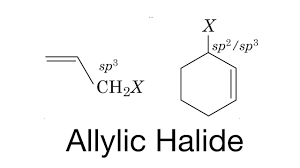 What Is The Difference Between Allylic And Benzylic Halides - Pediaa.Com