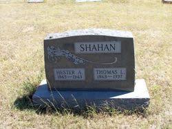 Hester Ann Taylor Shahan (1863-1943)