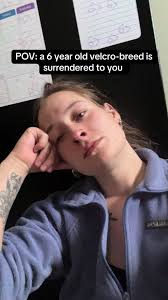 How Old Was Bella Brave Before She Passed