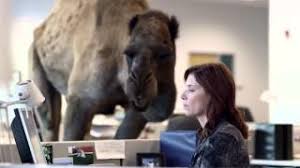 Guess what day it is? Hump Day Camel Rmx Guess What Day It Is Youtube
