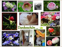 Für dich 365 tage volles glück, sonnenschein und gesundheit. Vielen Lieben Dank Foto Bild Spezial Danke Geburtstag Bilder Auf Fotocommunity