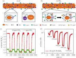 Connect ac 200v, or 110v, the green led flash that shows that the gas detector is in. Nanostructured Metal Oxide Semiconductor Based Sensors For Greenhouse Gas Detection Progress And Challenges Royal Society Open Science