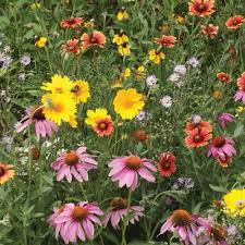 Create your very own meadow to help the bee population thrive with a free packet of wildflowers seeds from just bee. Pin On Gardens Gardening Uk