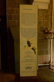 File:Photos from natural history ...