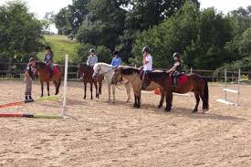 Nous vous remercions de limiter les accompagnants au maximum et d'utiliser les solutions hydro alcooliques disposées dans. Centre Equestre Manuel Et Cyril Reprennent Les Renes De La Peleras A La Ferte Mace Le Publicateur Libre