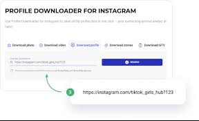 Free Instagram Video Photo And Story Downloader All In One Tool